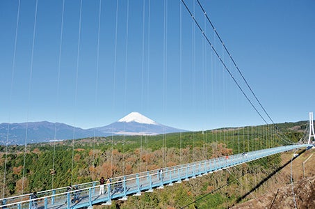 西船橋発 2つの絶景巡り!【往復ロープウェイ付】非日常の空間「碧テラス」開業10周年!「三島スカイウォーク」日帰り 沼津港散策もお楽しみ♪1